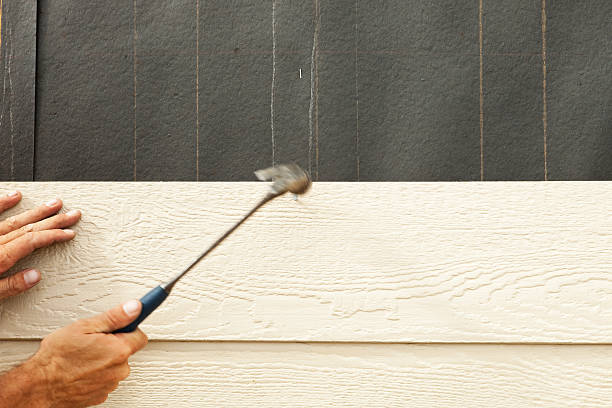 Best Insulated Siding Installation  in Tillson, NY